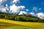 Poznávací zájezd Slovensko - hrad Lietava