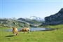 Picos de Europa