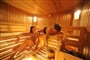 Vioz Sauna Wellness Zentrum
