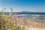 Výhled za pláže na ostrov Tavolara, San Teodoro, Sardinie, Itálie