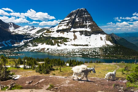 USA - Washington, Idaho, Montana, Wyoming, Oregon - NP severozápadu USA s lehkou turistikou