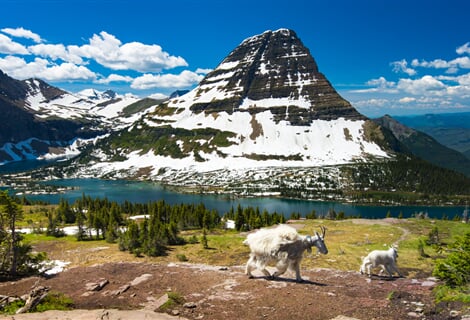 USA - Washington, Idaho, Montana, Wyoming, Oregon - NP severozápadu USA s lehkou turistikou