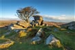 Dartmoore - Velká Británie