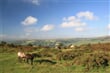 Dartmoor - Bonehill Down