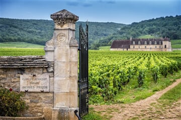 Francie - Beaujolais A Burgundsko