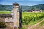 Francie - Burgundsko, zámek s vinicí