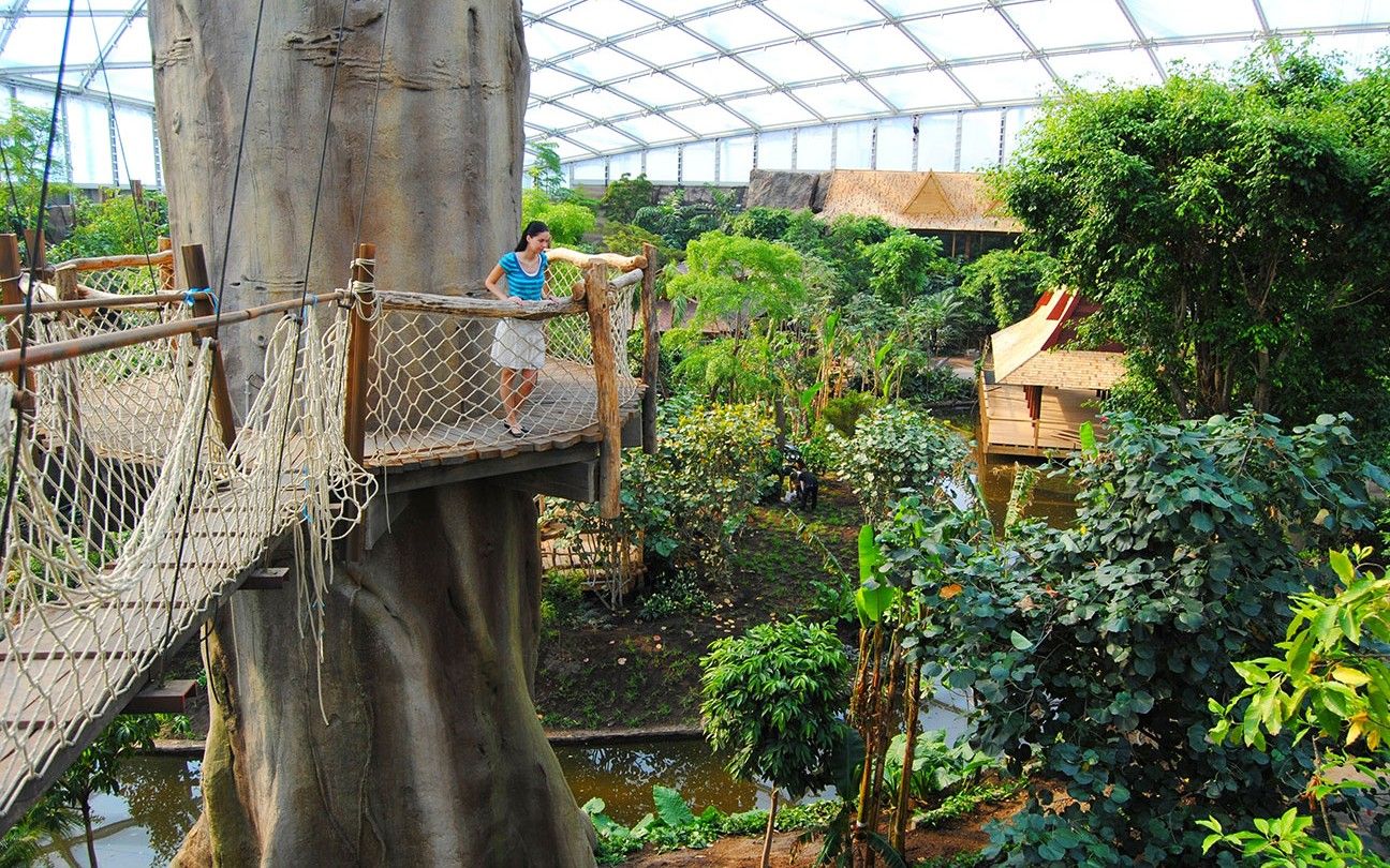 Lipsko a Gondwanaland