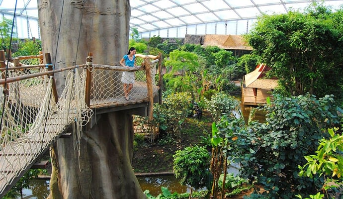 Lipsko a Gondwanaland