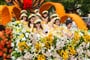Foto - Květinové slavnosti na Madeiře