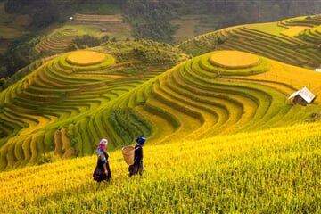 Hory a ostrovy severního Vietnamu