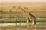 Foto - Victoria Falls & Chobe NP & delta Okavanga