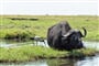 Foto - Victoria Falls & Chobe NP & delta Okavanga