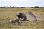 Foto - Victoria Falls & Chobe NP & delta Okavanga