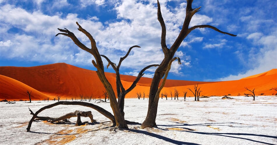 Foto - Z Kapského Města do Victoria Falls