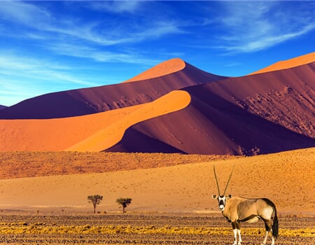 Letecké poznávací zájezdy