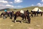 Kyrgyzstan - projížďka na koních
