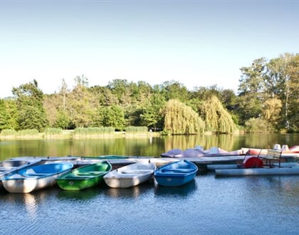 151 ParkInn Sarvar 742