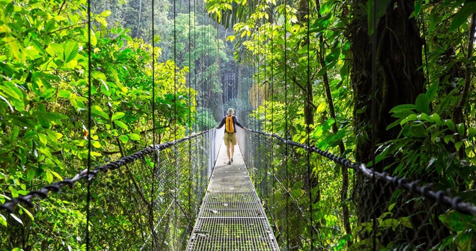 Kostarika - Monteverde, procházka v korunách mlžného pralesa