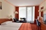 hotel - sarvar - stabdard - double - park - view