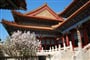 Jaro v areálu Letního paláce, Peking