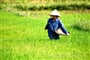 Žena v rýžovém poli