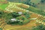 Rýžové terasy u Sa Pa
