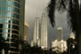 Petronas Twin Towers s palmou