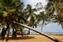 Pointe a Pitre (7)