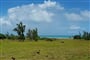 Pointe a Pitre (8)