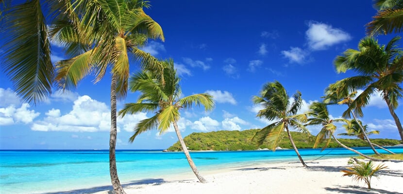 Tobago (2)