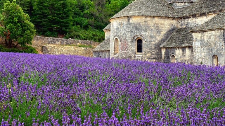 Poznávací zájezd Francie - Provence - Klášter Senanque