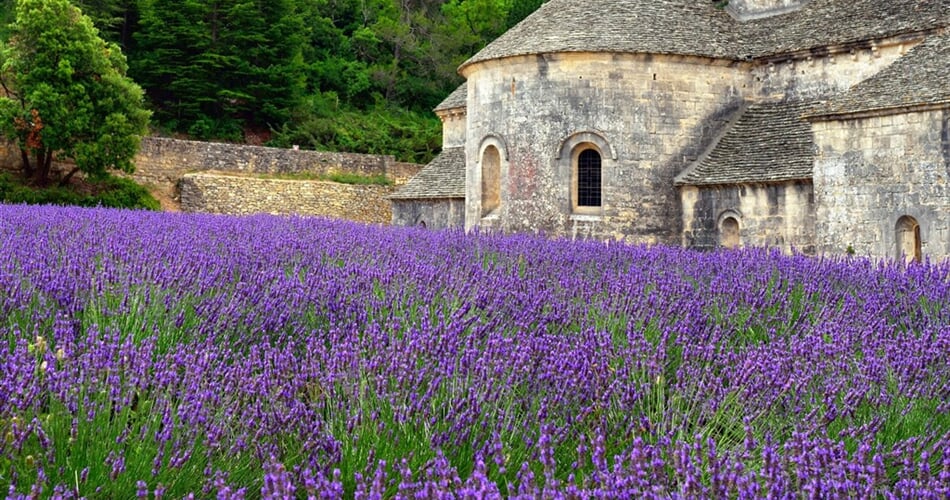 Poznávací zájezd Francie - Provence - Klášter Senanque