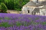 Poznávací zájezd Francie - Provence - Klášter Senanque