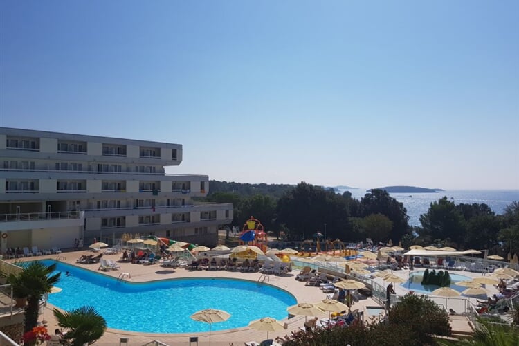 Hotel Delfin Plava Laguna  Swimming pool 1