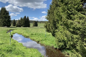 Krušnohoří ***
