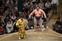 Zápasník sumó