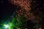 Obloha plná lampionů - svátek Loy Krathong