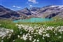 Korutanske perly_shutterstock_704387005 (1)