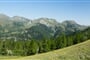 Korutanske perly_shutterstock_713922463 (1)