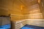 335 Terme Finska savna
