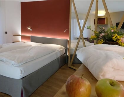 hotel Veronza Carano (14)