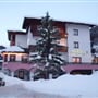 Hotel Stella Alpina *** - Cogolo