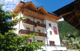 Hotel Stella Alpina *** - Cogolo