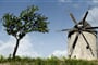 windmill-359146_1920
