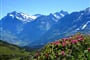 Bernské Alpy 11