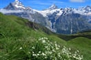 Bernské Alpy 3