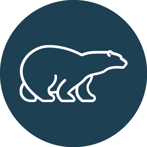 polar_bear