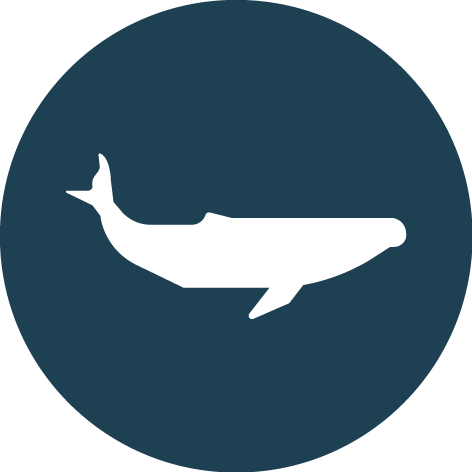 whale